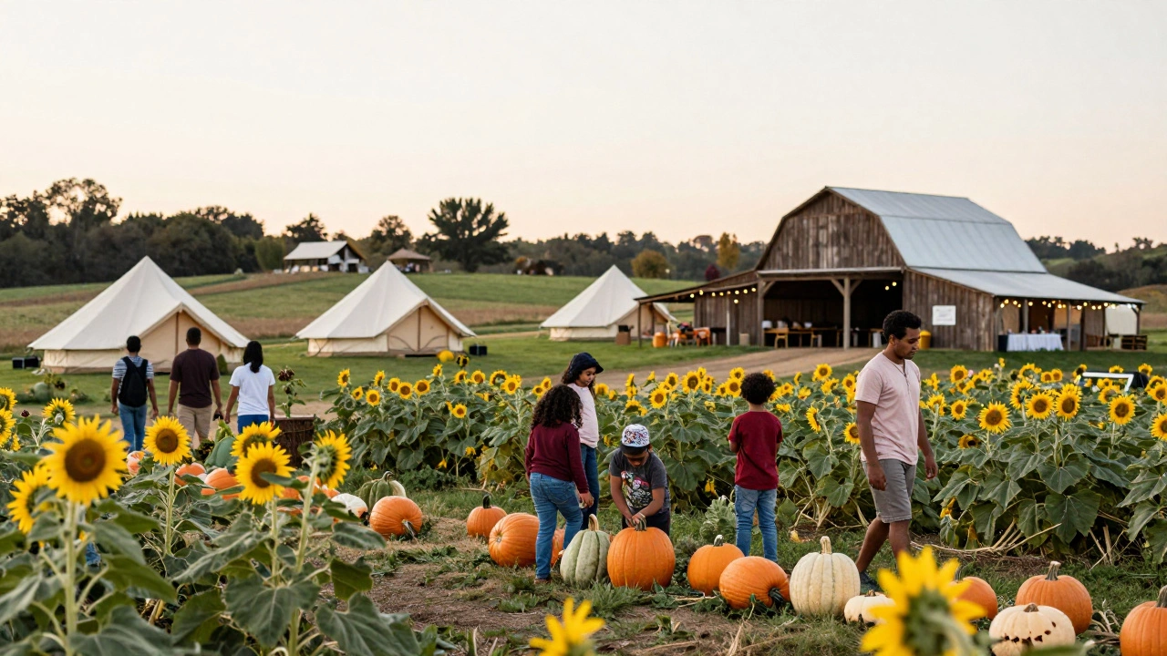 Families picking crops and glamping tents at an Indian agritourism site